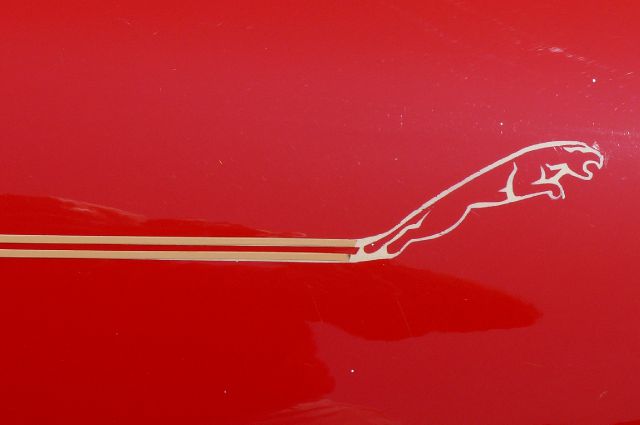 JAGUAR XJS 1990 photo 30