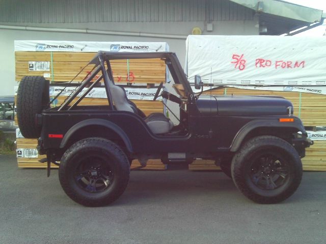 Jeep CJ5 1978 photo 3