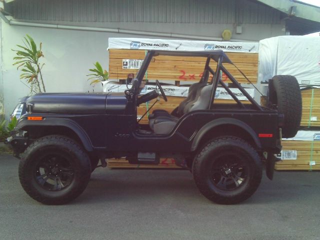 Jeep CJ5 1978 photo 4