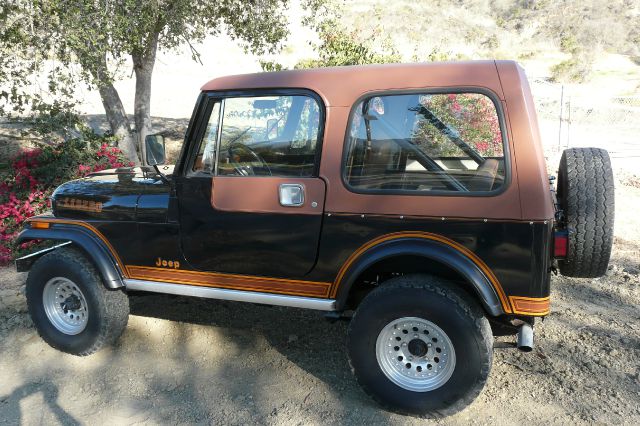 Jeep CJ7 1983 photo 4