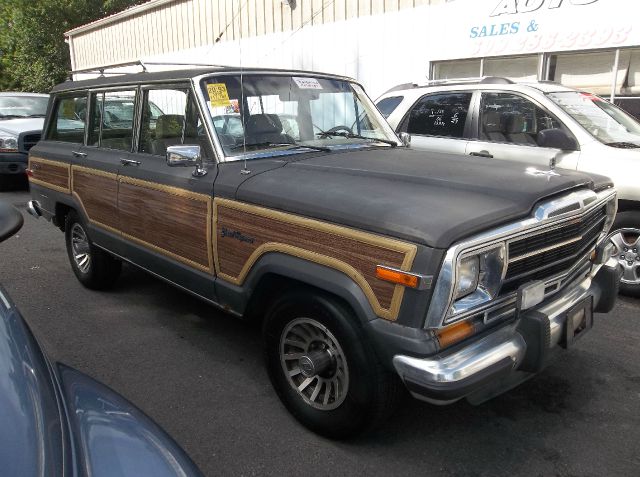Jeep Grand Wagoneer 1990 photo 2