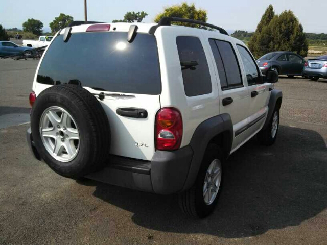 Jeep Liberty Elk Conversion Van SUV