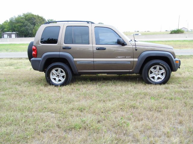 Jeep Liberty 2002 photo 1