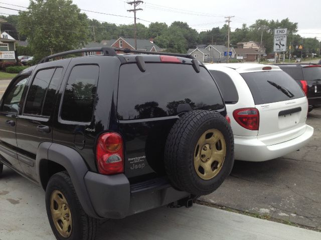 Jeep Liberty Elk Conversion Van SUV