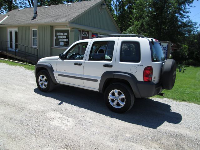 Jeep Liberty Elk Conversion Van SUV