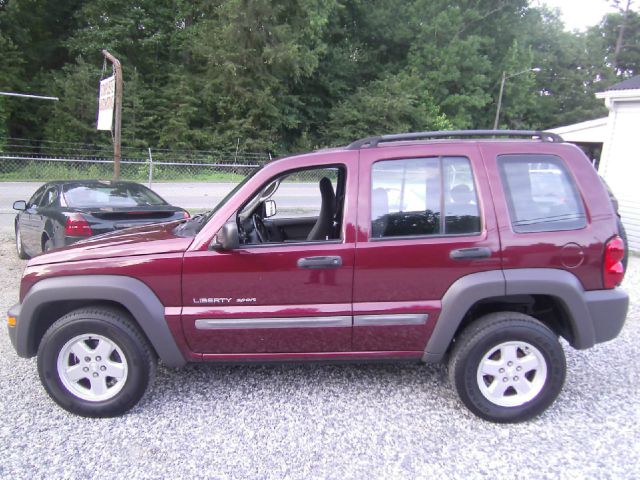 Jeep Liberty Elk Conversion Van SUV