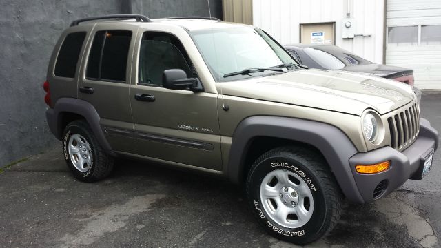 Jeep Liberty 2003 photo 3
