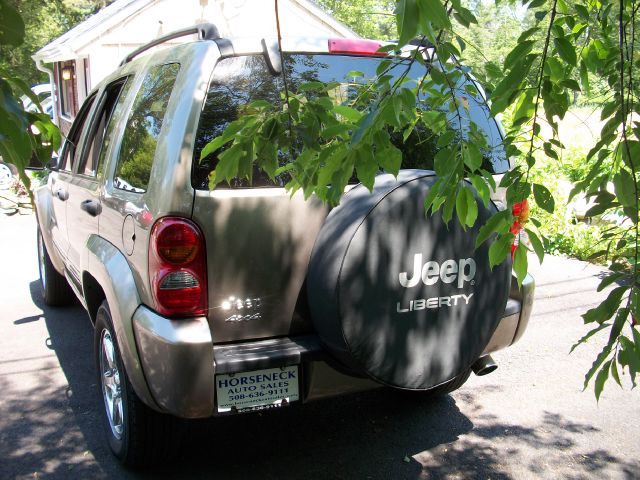 Jeep Liberty 2003 photo 1
