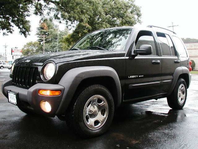 Jeep Liberty 2003 photo 2