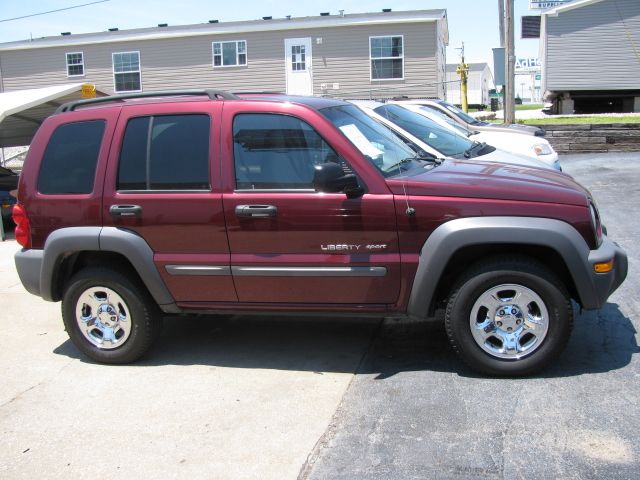 Jeep Liberty Elk Conversion Van SUV