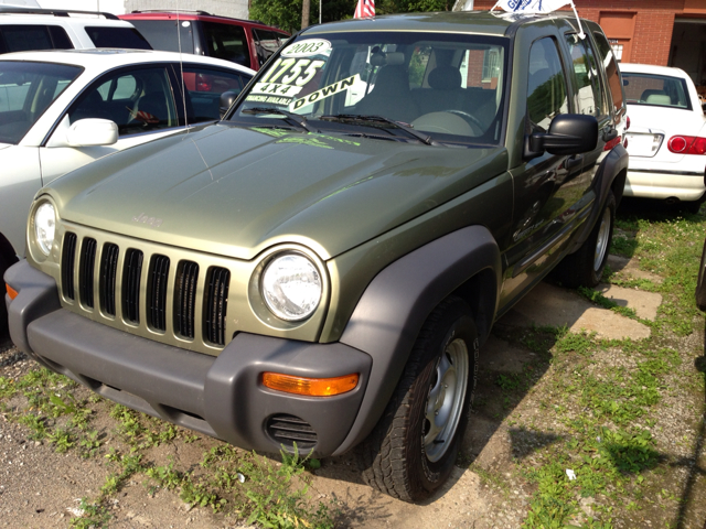 Jeep Liberty Elk Conversion Van SUV