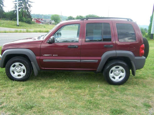 Jeep Liberty 2003 photo 8