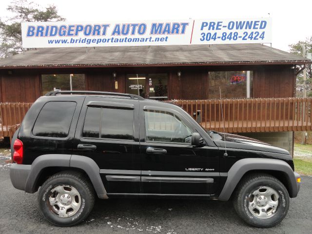 Jeep Liberty 2003 photo 1