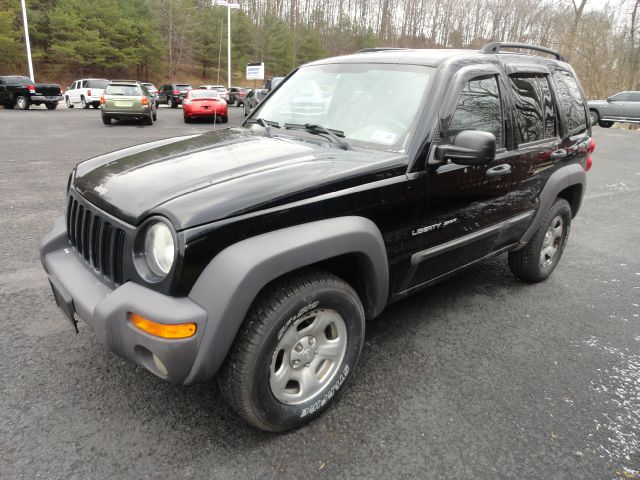 Jeep Liberty 2003 photo 2