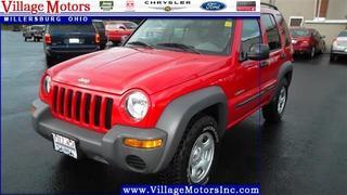 Jeep Liberty GSX Other
