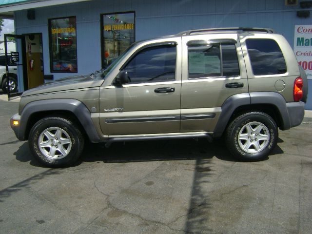 Jeep Liberty Elk Conversion Van SUV