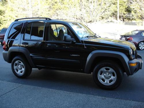 Jeep Liberty GSX Other