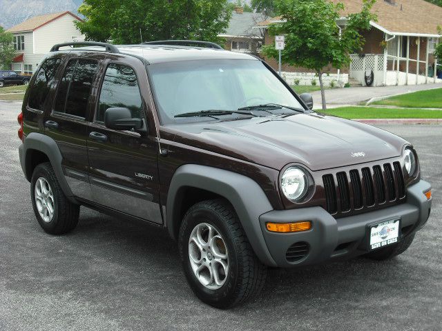 Jeep Liberty 2004 photo 2