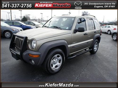 Jeep Liberty GSX Other