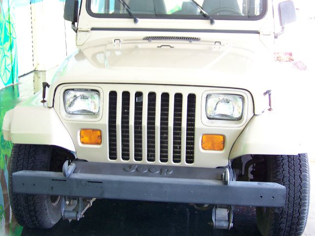 Jeep Wrangler 1994 photo 6