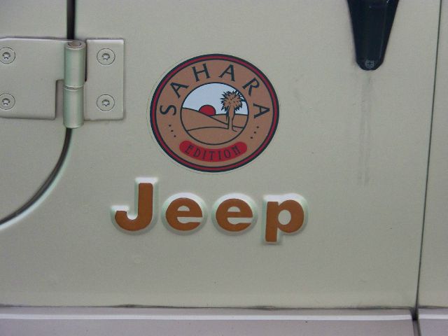 Jeep Wrangler 1994 photo 8