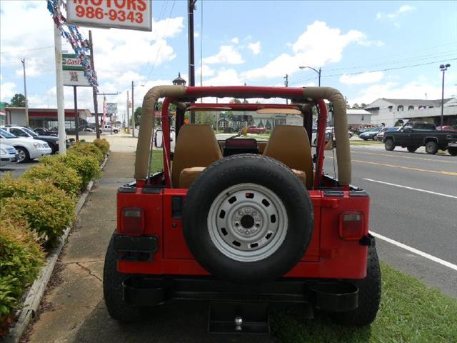 Jeep Wrangler 1994 photo 3