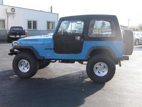 Jeep Wrangler 1994 photo 3
