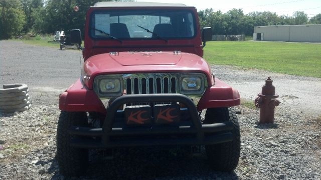 Jeep Wrangler 1995 photo 2