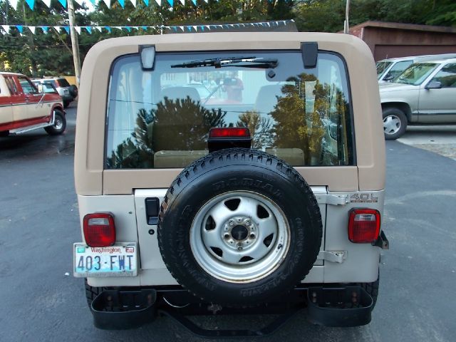 Jeep Wrangler 1995 photo 3