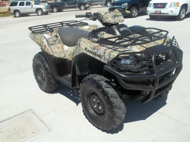 Kawasaki BRUTEFORCE 2010 photo 1