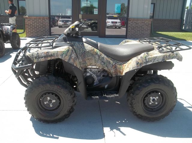 Kawasaki BRUTEFORCE 2010 photo 3