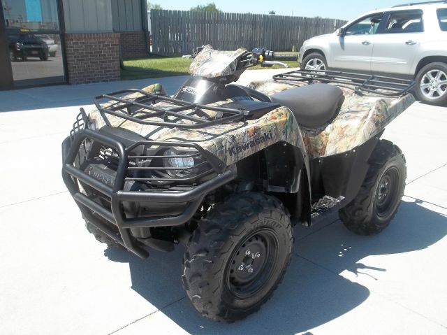 Kawasaki BRUTEFORCE 2010 photo 4