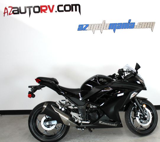 Kawasaki NINJA 300 2013 photo 1