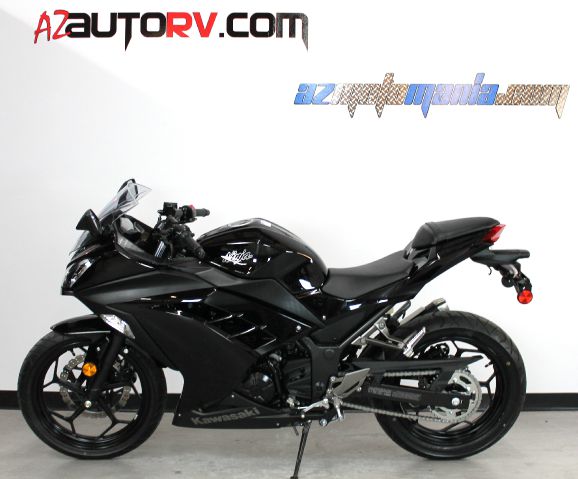 Kawasaki NINJA 300 2013 photo 2