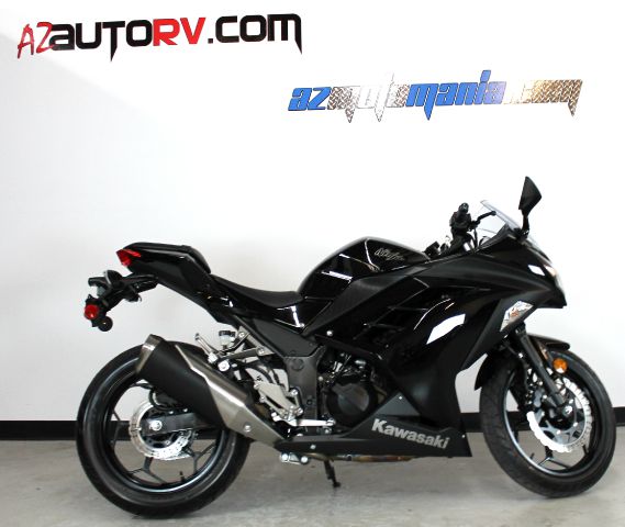 Kawasaki NINJA 300 2013 photo 3