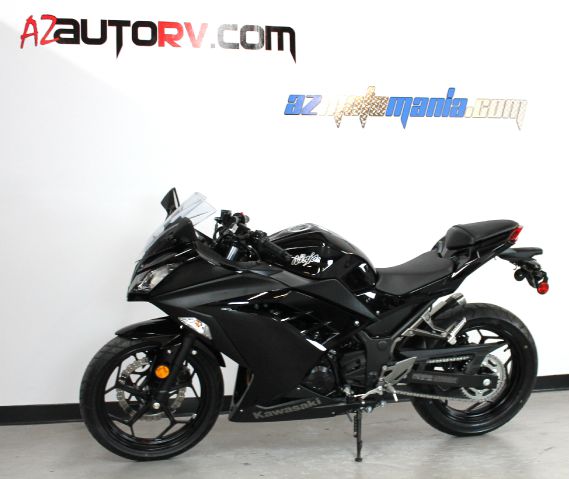 Kawasaki NINJA 300 2013 photo 4