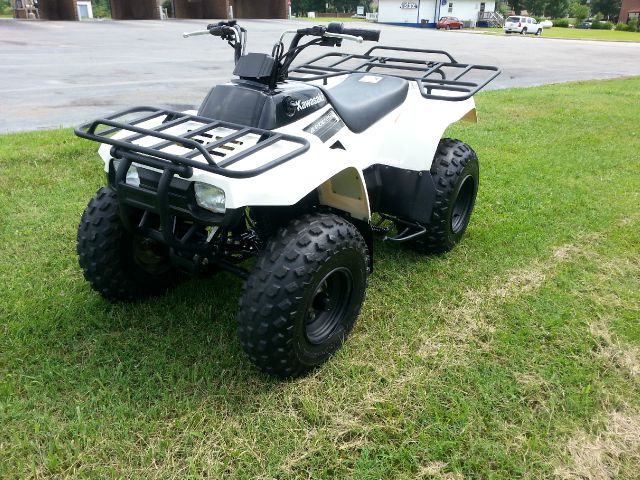 Kawasaki Bayou 250 2009 photo 1