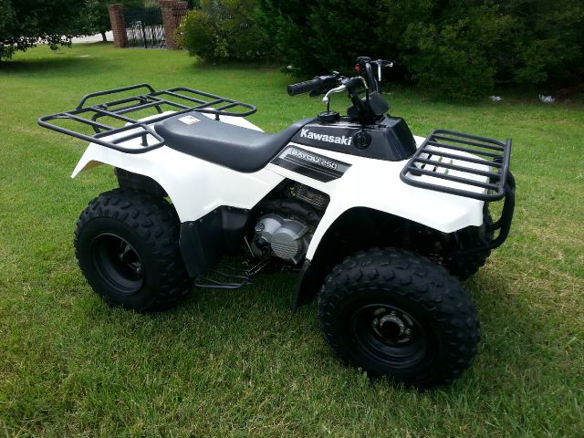 Kawasaki Bayou 250 2009 photo 2