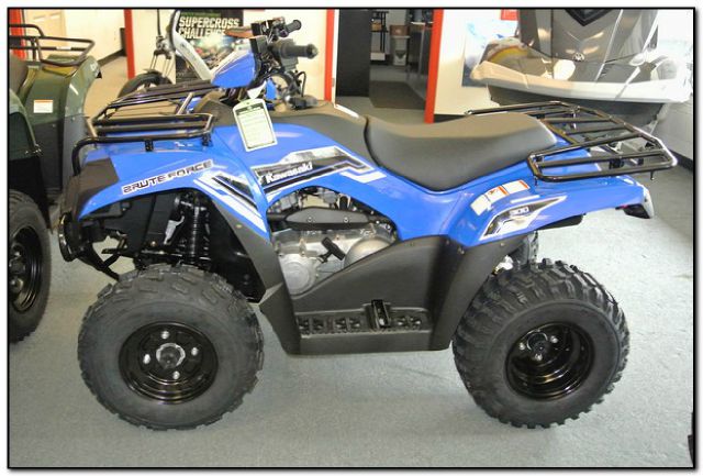 Kawasaki Brute Force 300 Unknown ATV