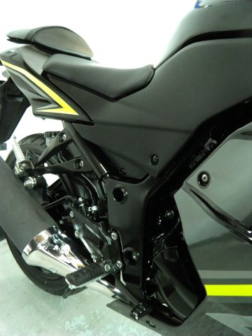 Kawasaki Ninja 250R 2012 photo 13