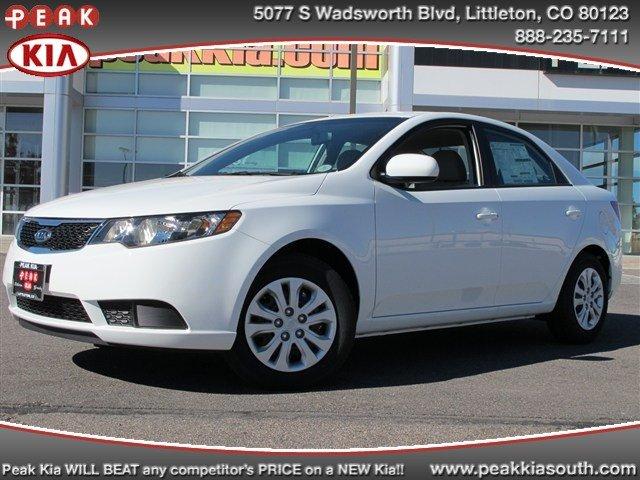 Kia Forte Elk Conversion Van Sedan