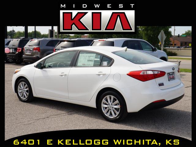 Kia Forte Elk Conversion Van Sedan