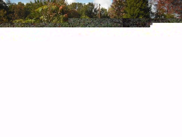 Kia Optima 2004 photo 1