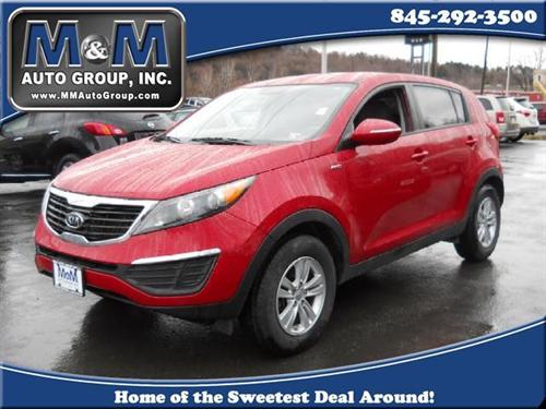 Kia Sportage Elk Conversion Van Other