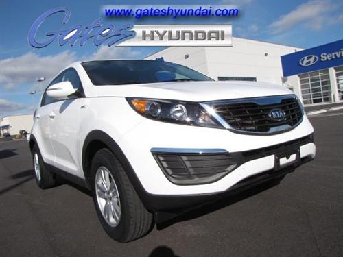 Kia Sportage Elk Conversion Van Other