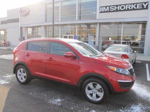 Kia Sportage Elk Conversion Van Other