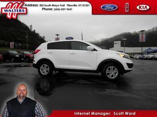 Kia Sportage Elk Conversion Van Other