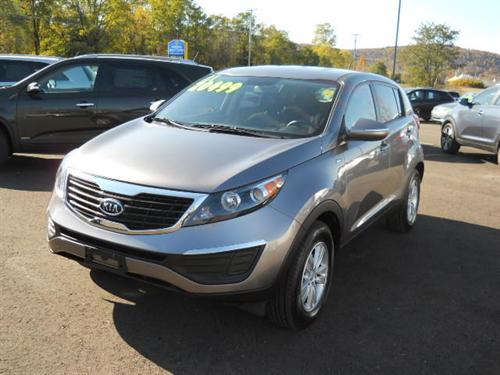 Kia Sportage Elk Conversion Van Other