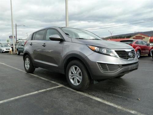 Kia Sportage Elk Conversion Van Other