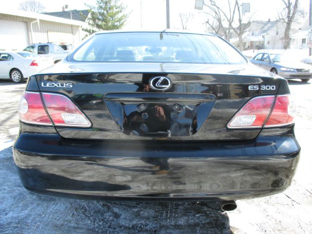 Lexus ES 300 2002 photo 4
